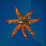 FhZxMZePw_4-channel-avatar-CALM Jazz and Mellow Co Music