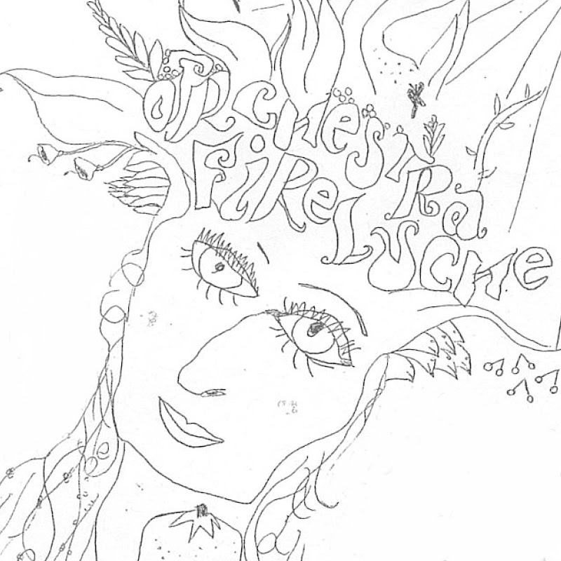 Orchestra Fireluche - Topic