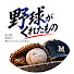 JQVn_otiLnM-channel-avatar-野球がくれたもの+more sports
