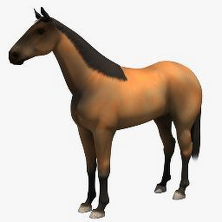 3d horse. Лошадь 3d. Конь Юлий 3d модель. Моделька лошади ГТА 5. 3d модель конь 9 лвл.