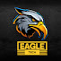 hm9KZFHiAsE-channel-avatar-Eagle Tech