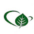 EQvqL8Tnuqs-channel-avatar-Rain Forest4U