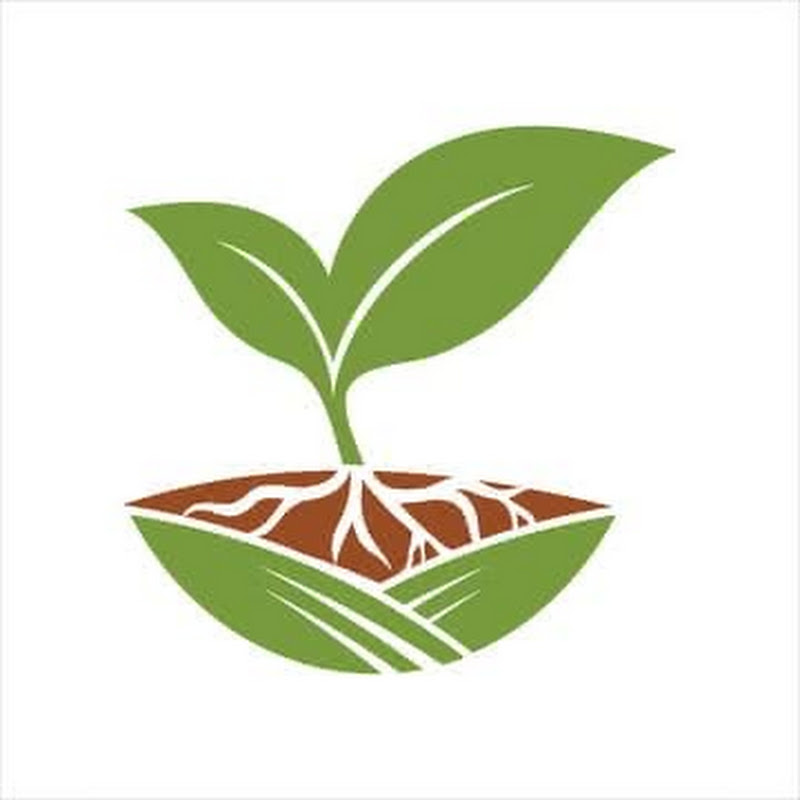 Wholesale Golden Nursery 
