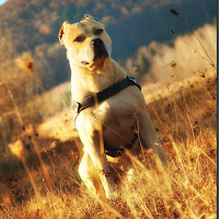 Profile Picture of TreT