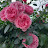 @6143happy