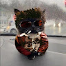 Автор