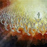 5D8NJBQqn68-channel-avatar-Pure Providence TV