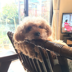 愉快な仲間たち Gardening&Pets アイコン画像