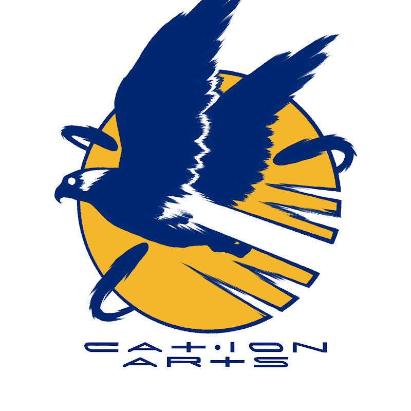Cation Arts