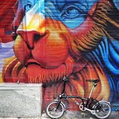 Bike to Beyond Adventures