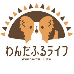 子犬のしつけ専門チャンネル ー わんだふるライフへの道 ーアイコン画像