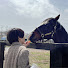 clGPLN8U49g-channel-avatar-BreakHorseChannel【ブレイクホースチャンネル】