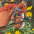 jfUAiHMa6rY-channel-avatar-Willow Brook Equestrian