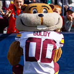 D1_minnesota