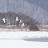 @자연과명상