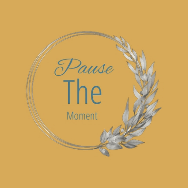 Pause The Moment