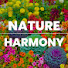grN4Oacu1fM-channel-avatar-Nature Harmony TV