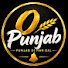 L91OjJS080Q-channel-avatar-O Punjab