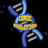 EmSvxX57DpY-channel-avatar-Comic Evolution