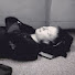 jpB1zyblGpU-channel-avatar-muted