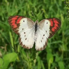 Nature Info தமிழ் Avatar