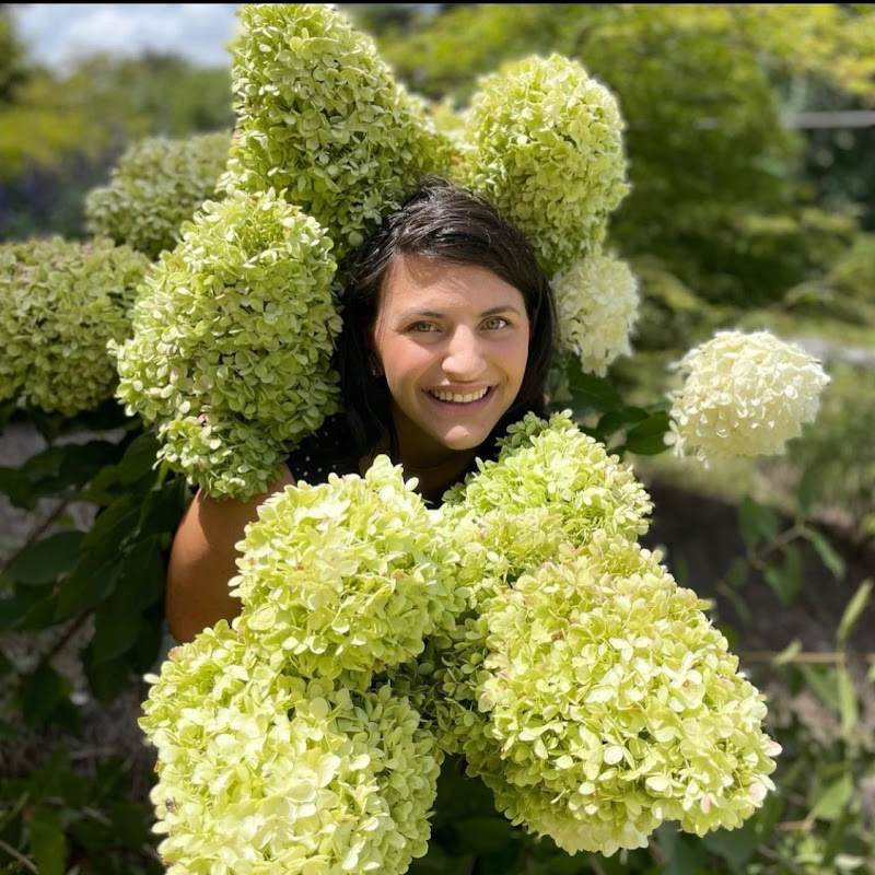 Everyday Gardening Tips