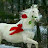 @JfjdDjjd-tl5ib