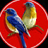 ZqPp6MxztWY-channel-avatar-Bird Plus Animals