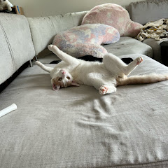 のん