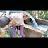 tfIlsJnleHU-channel-avatar-tuwebwall mix dasi 