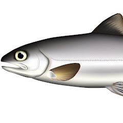 BIWATROUTアイコン画像