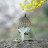 @learnwithLalita Avatar