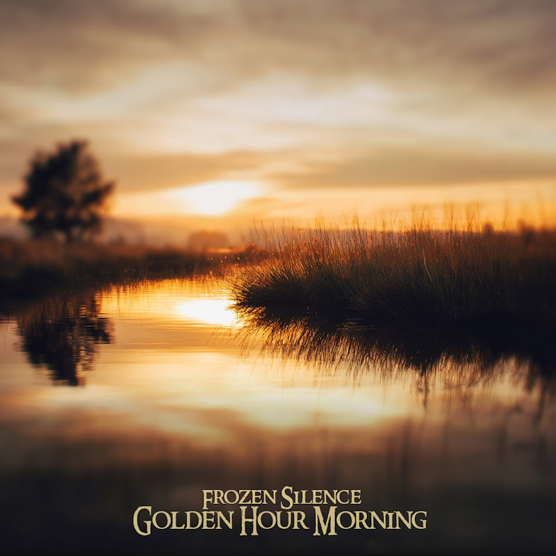 Frozen Silence - Topic