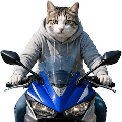 野良猫 CEO