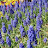 @user-tm8bm2bv8o