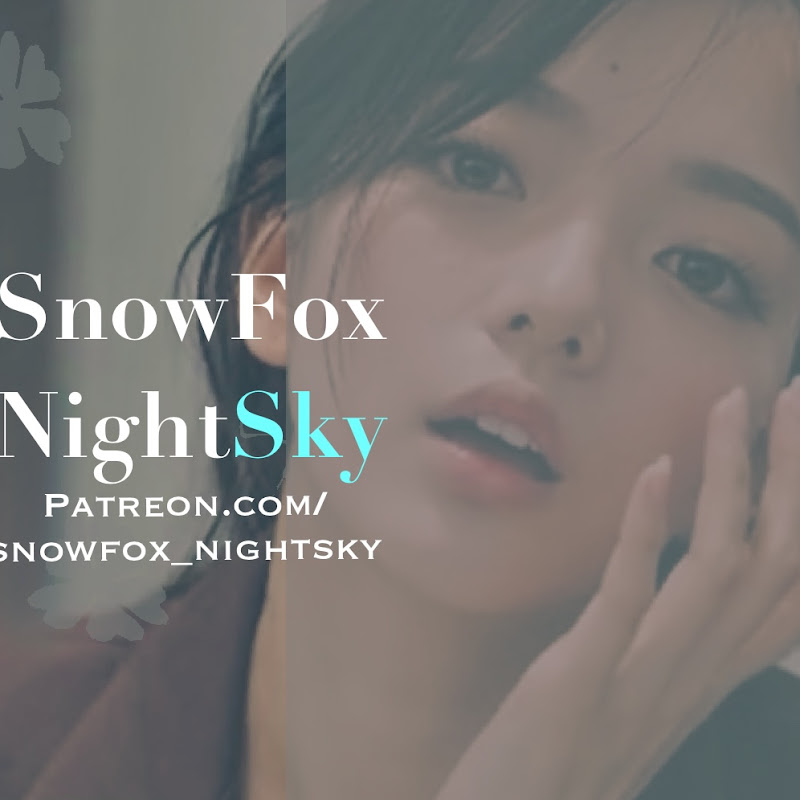 SnowFox_NightSky「夜空」