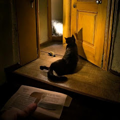 黑貓意想不到的結局アイコン画像