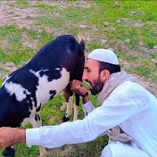 Mera Gaon Mera Shehrمیرا گاؤں میرا شہر