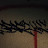 @burd_sary_graffiti126