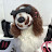 @Valenandberlin24 Avatar