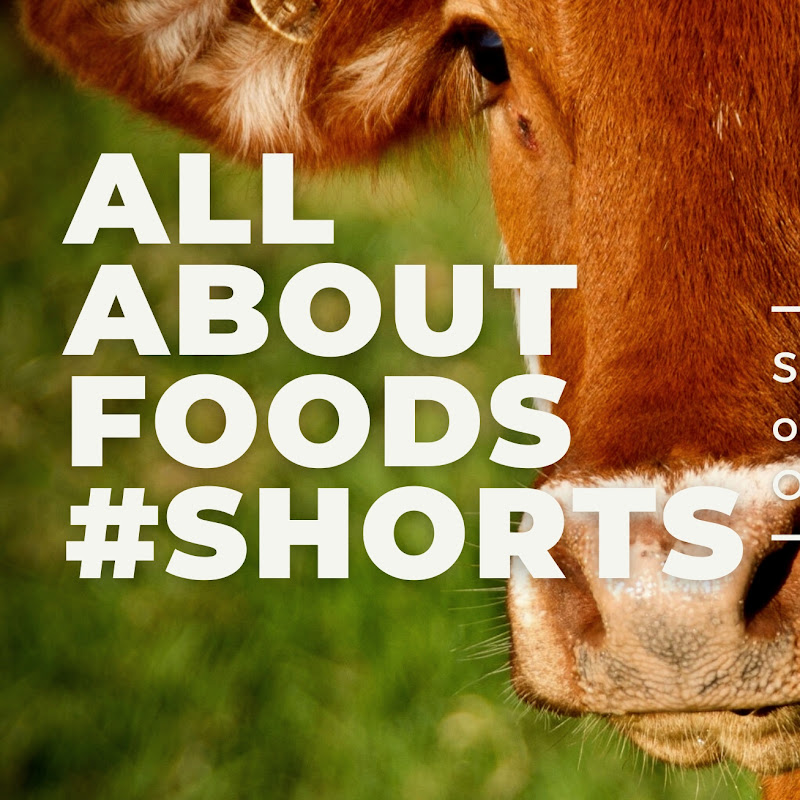 ALL ABOUT FOOD! #SHORTS