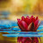 @ZenVerse-f4f