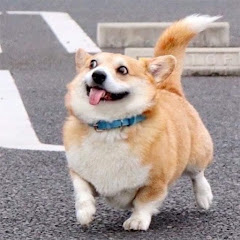 ひろ