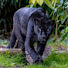 B3JJG5kH60U-channel-avatar-Jeol West Wildlife 