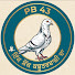 17BJFI2F81I-channel-avatar-DhindsaPB43