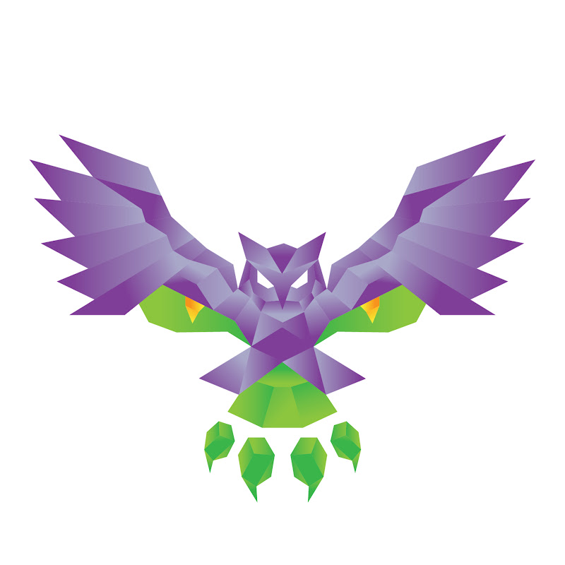 OwlDragon Adventures
