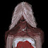 3zG6R2VxyfE-channel-avatar-Rowan
