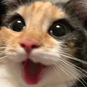 1nferno