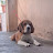 @Premviji-x8z