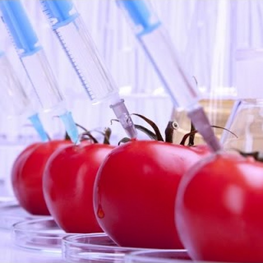 what is food and science